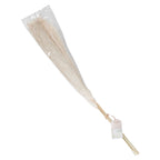 Bleached Pampas Grass Decorations