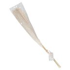 Bleached Pampas Grass Decorations- 5 Inner Pack
