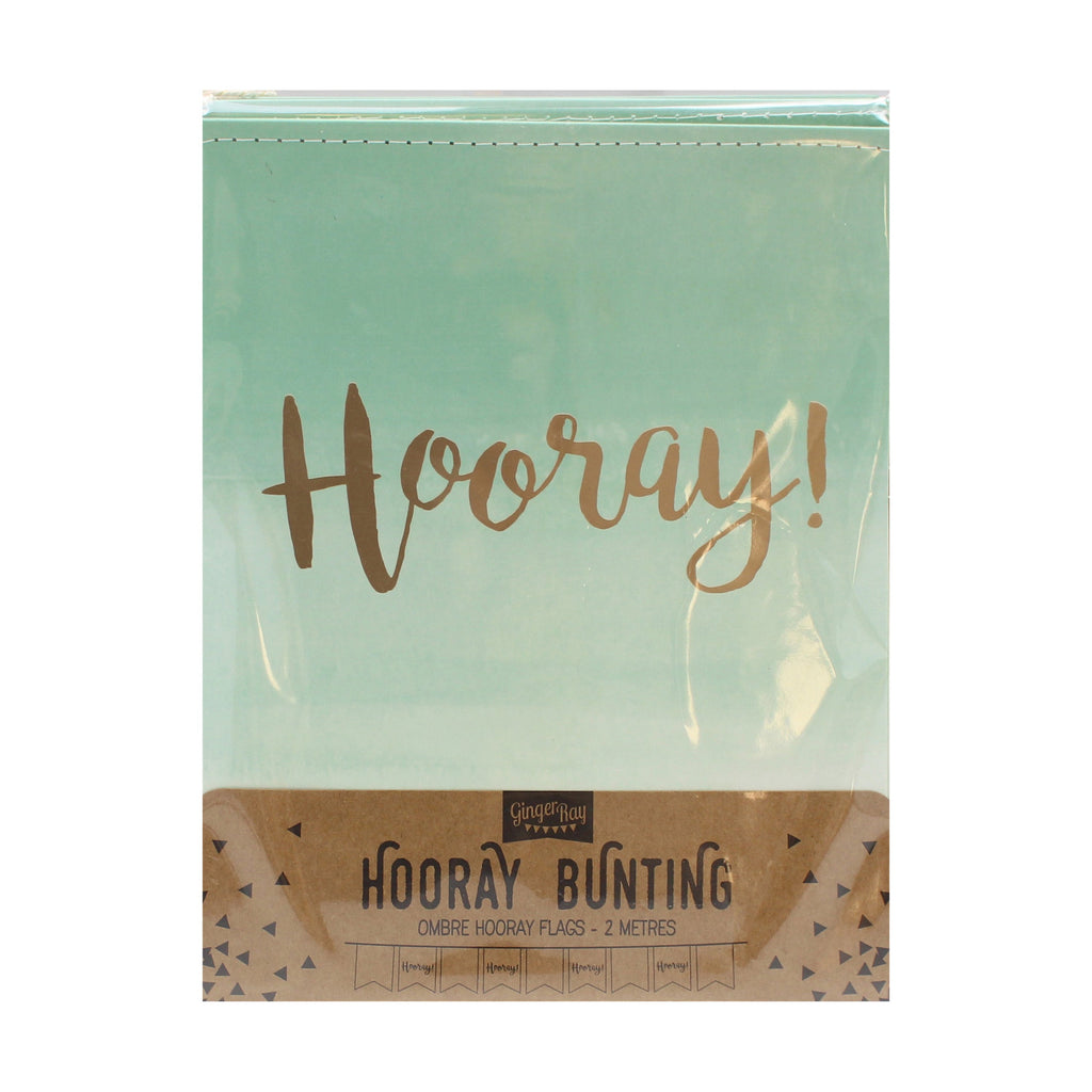 Mint Green Ombre & Gold Foiled Paper Bunting - Pick & Mix- 5 Inner Pack