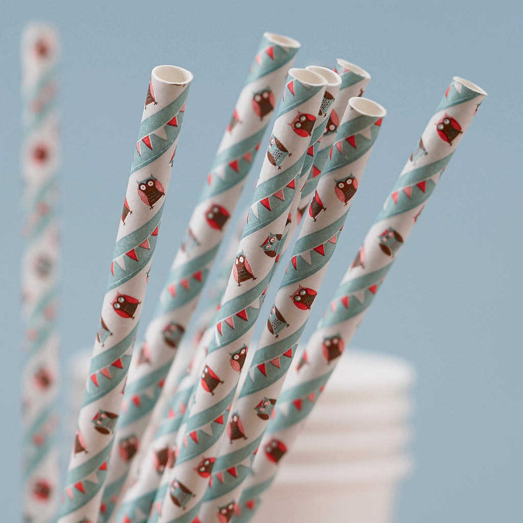 Paper Straws - Patchwork Owl- 10 Inner Pack