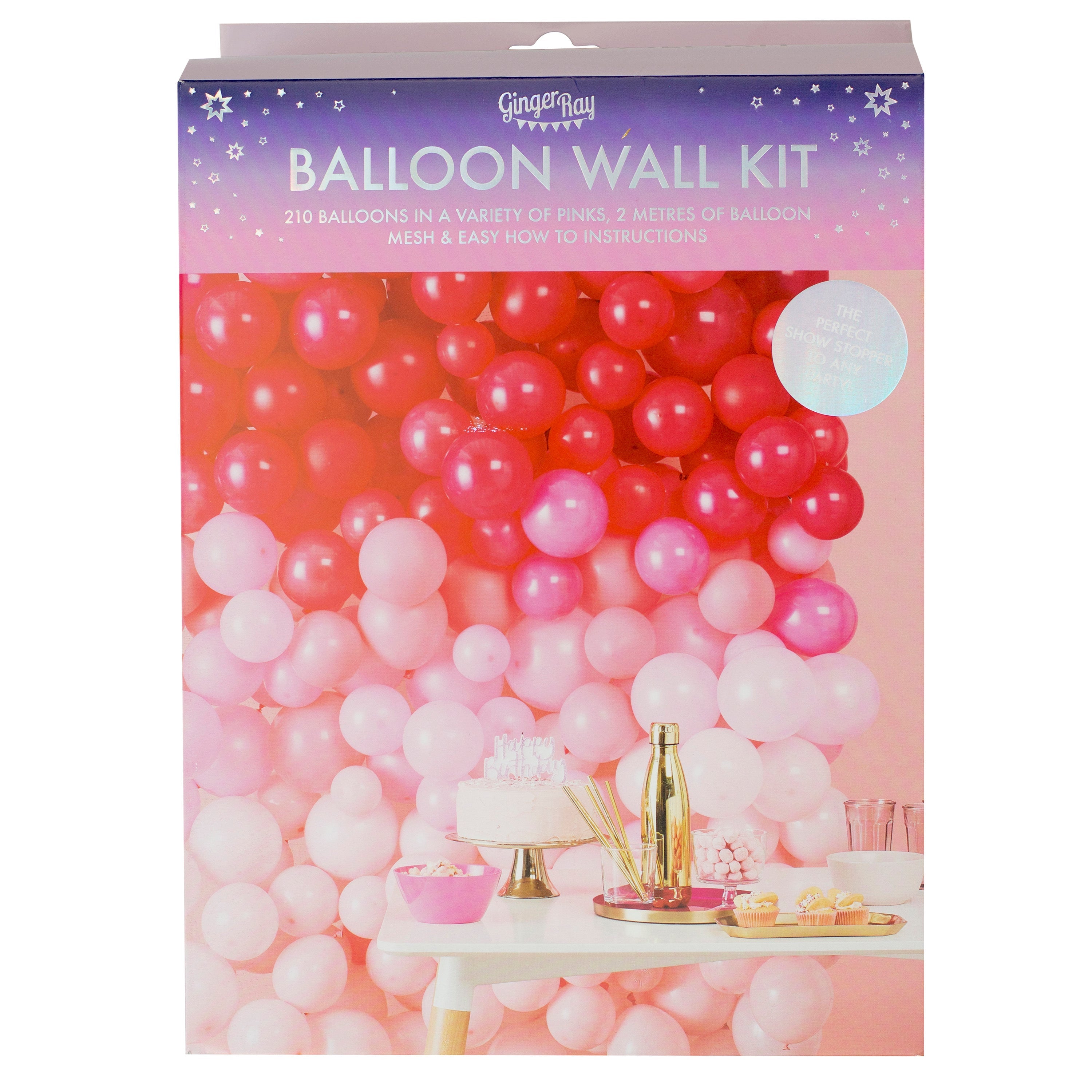 Ombre Pink Balloon Wall Decoration