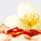 Saffron Luxe Inspired by Scent Haus