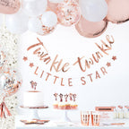 Rose Gold Star Shaped Paper Plates -  Twinkle Twinkle