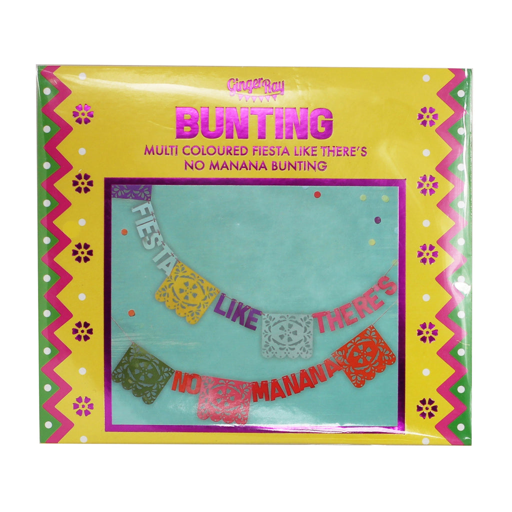 Fiesta Like There's No Manana Flag Paper Party  Bunting - Viva La Fiesta- 5 Inner Pack