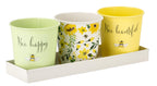 Bee-Beautiful Set - 3 Pots