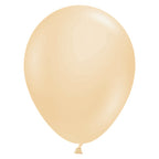 Blush Balloons - 11" Latex (12pk)