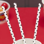 White and Black Polka Dot Comic Superhero Paper Straws- 10 Inner Pack