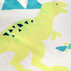 Dinosaur Multicolour Glow-in-the-Dark Kids Duvet Set