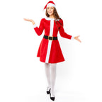 Santa Dress - Adult Costume
