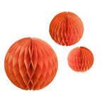 Honeycomb Paper Decorations- 5 Inner Pack