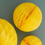 Honeycomb Paper Decorations- 5 Inner Pack