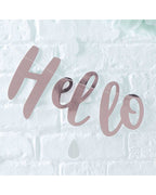 Hello World Rose Gold Letter Bunting - 2m