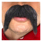 Big and Bushy Gringo Tash