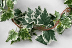 Kids Jungle Decorative Vine Leaves - 12 x 6ft