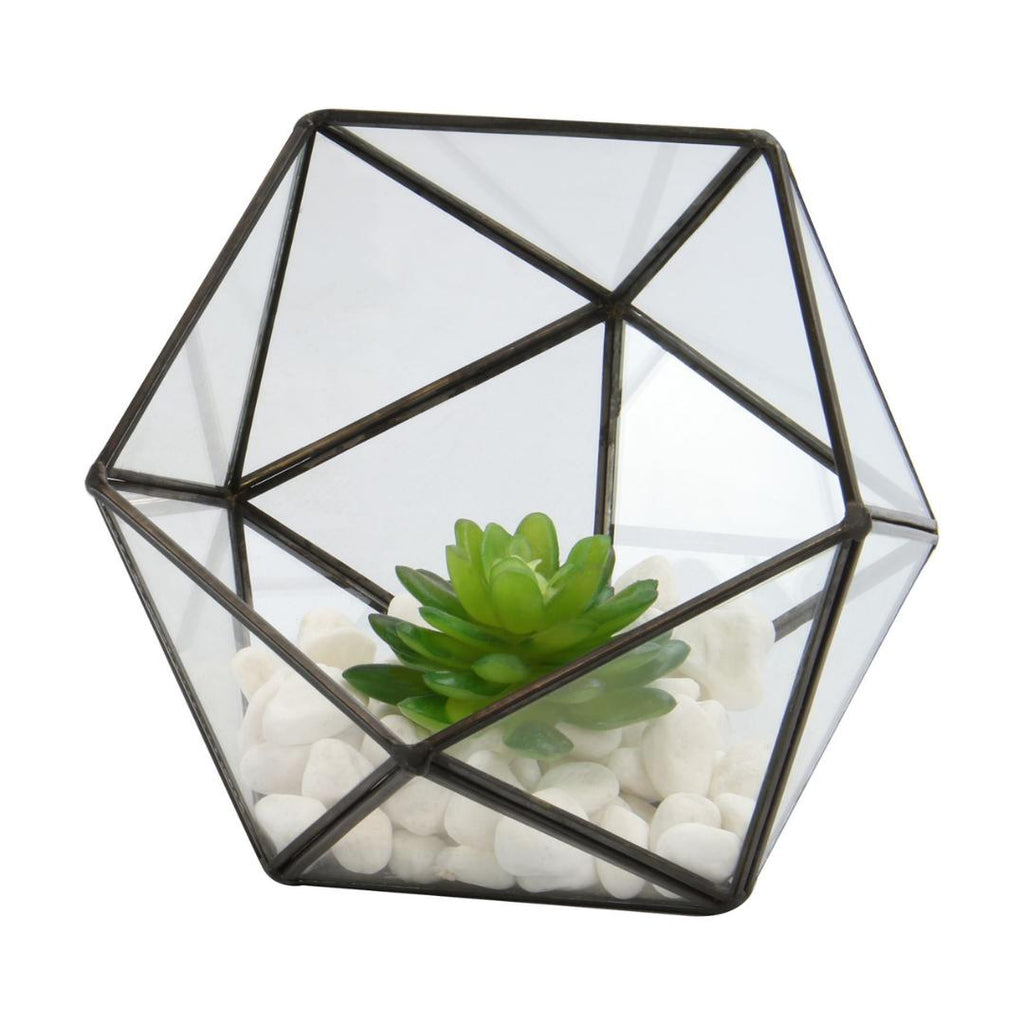 Maison & White Half Ball Glass Terrarium - Beales department store