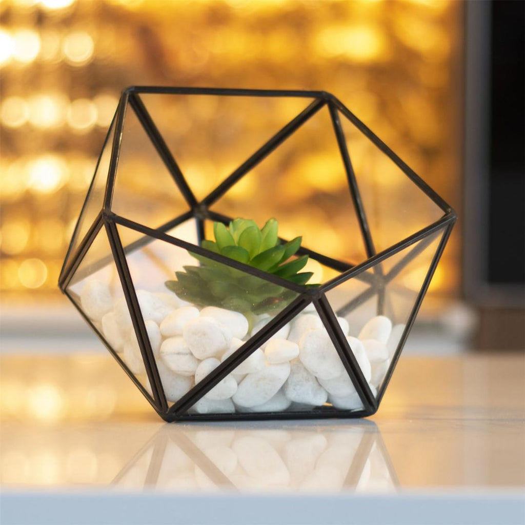 Maison & White Half Ball Glass Terrarium - Beales department store