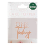 Rose Gold One Today 1st Birthday Cake Topper