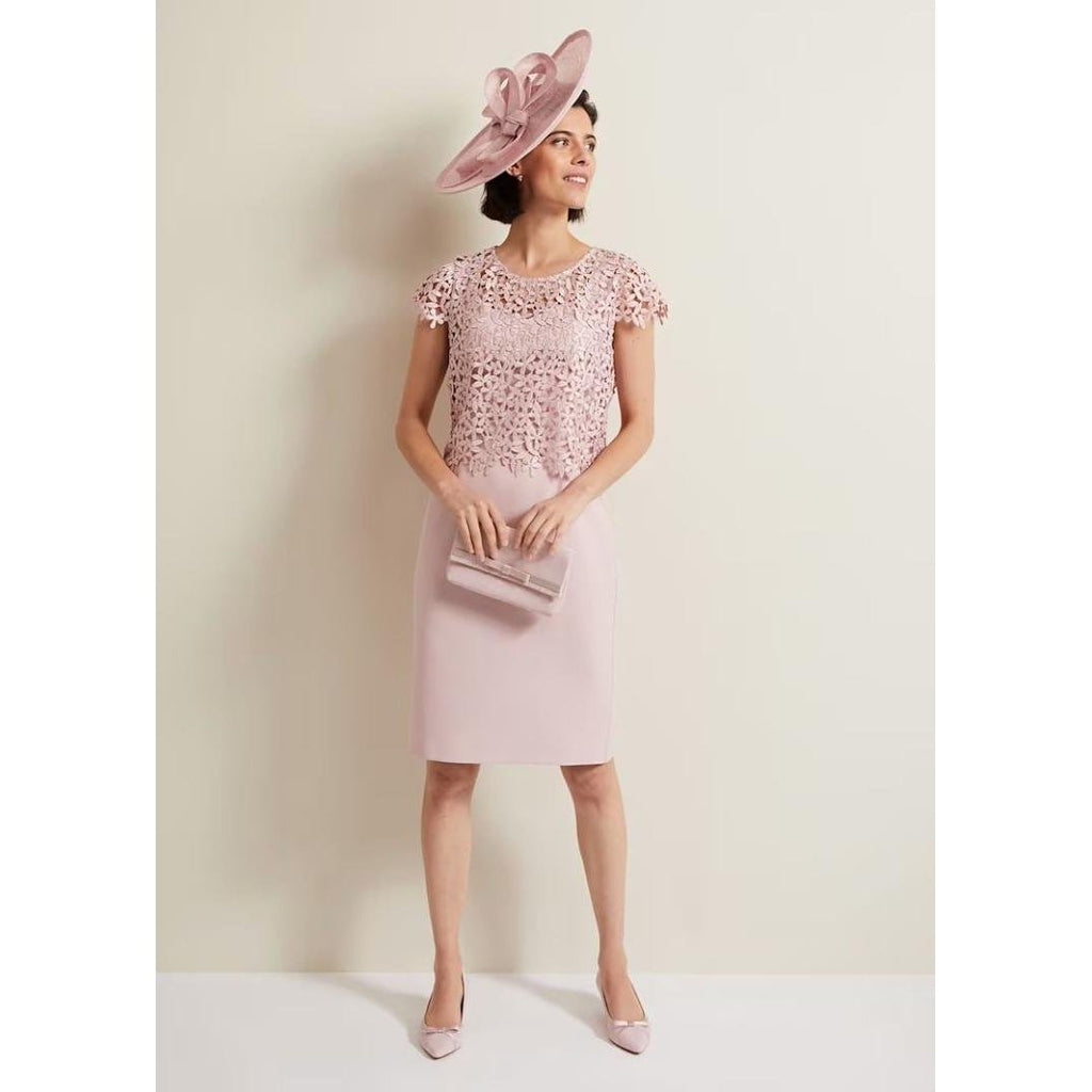 Phase Eight Daisy Lace Midi Dress - Pale Pink - Beales department store