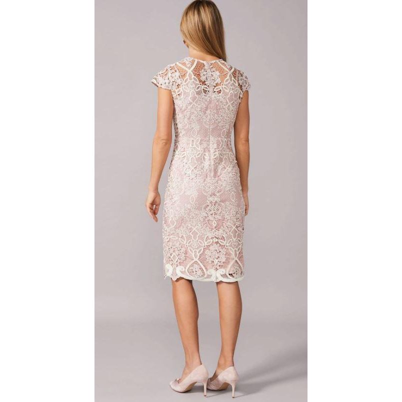 Phase Eight Frances Lace Dress - Petal - Beales department store