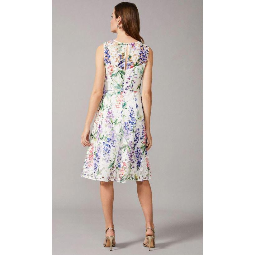 Phase Eight Lonnie Lace Dress - Ivory - Beales department store