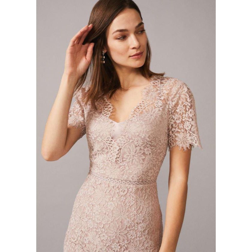 Phase Eight Lorella Lace Dress - Taupe - Beales department store