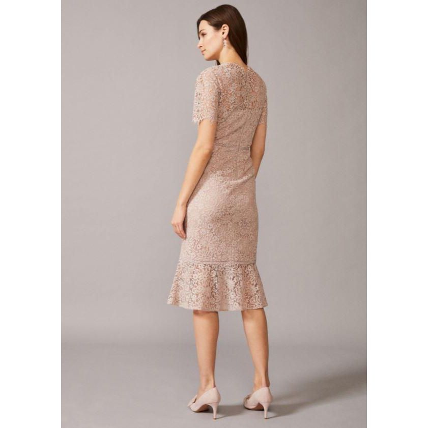 Phase Eight Lorella Lace Dress - Taupe - Beales department store