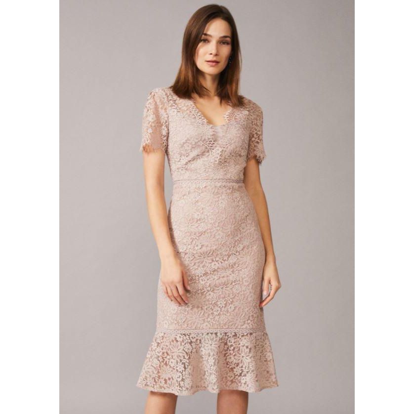 Phase Eight Lorella Lace Dress - Taupe - Beales department store