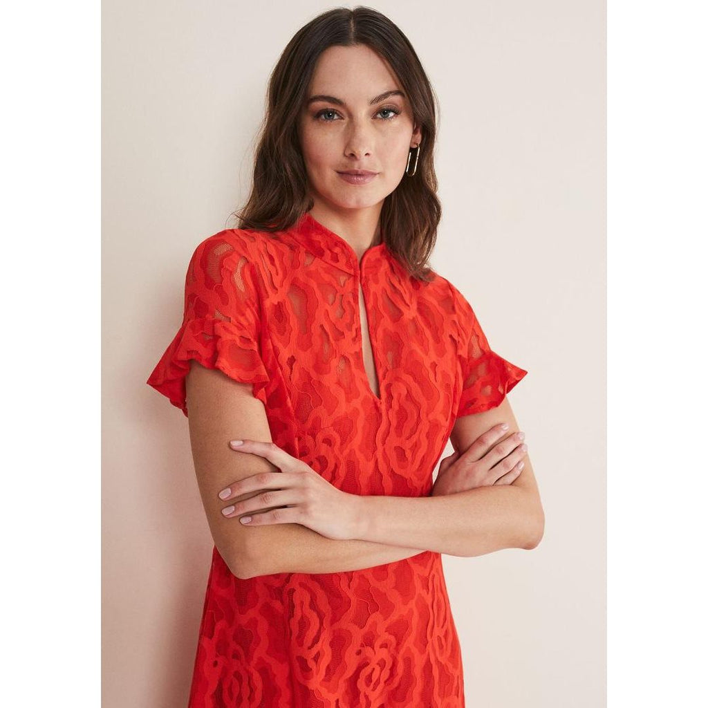 Phase Eight Lulu Lace Dress - Fire - Beales department store