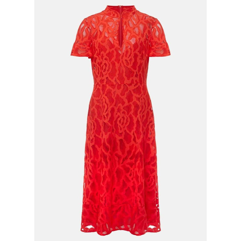 Phase Eight Lulu Lace Dress - Fire - Beales department store