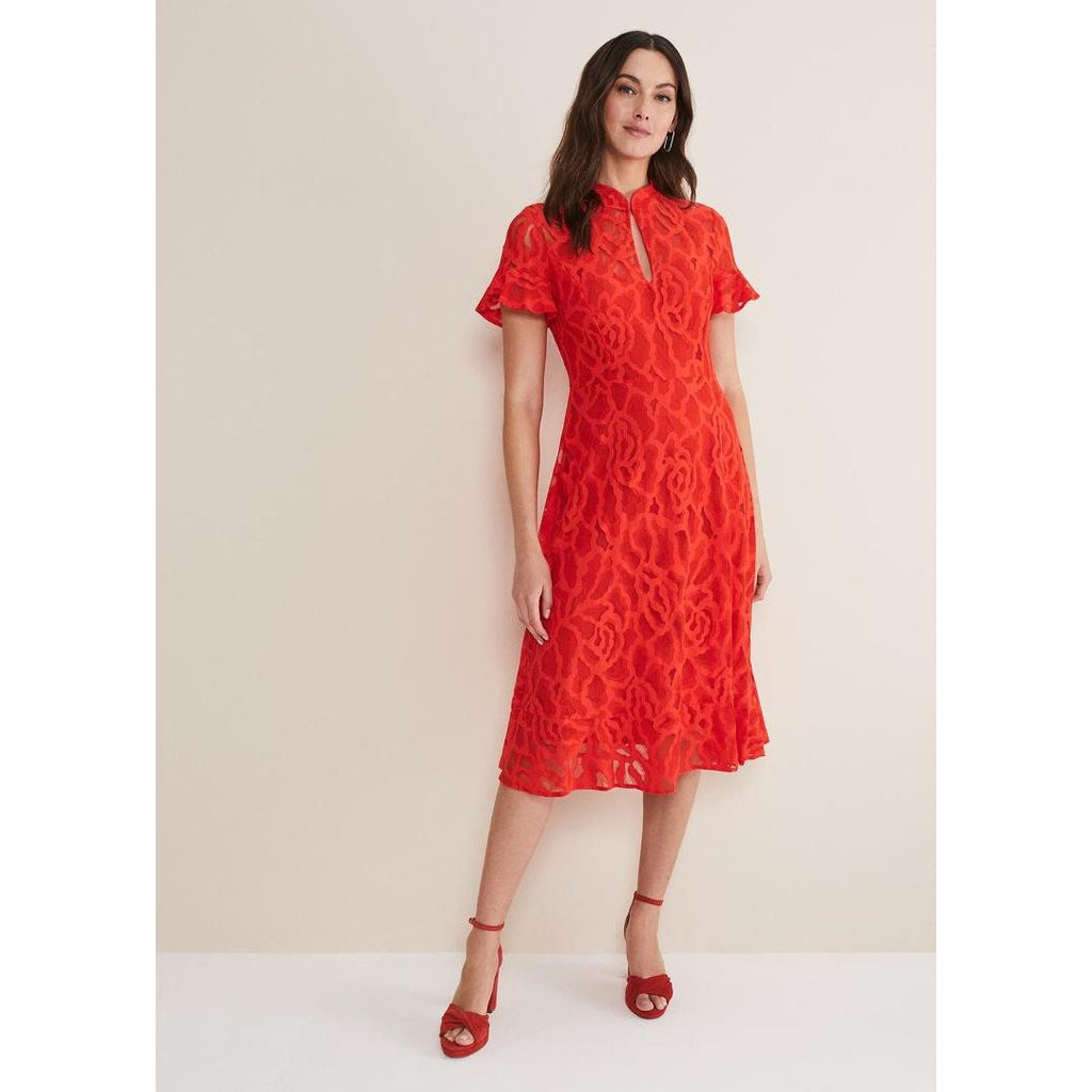 Phase Eight Lulu Lace Dress - Fire - Beales department store