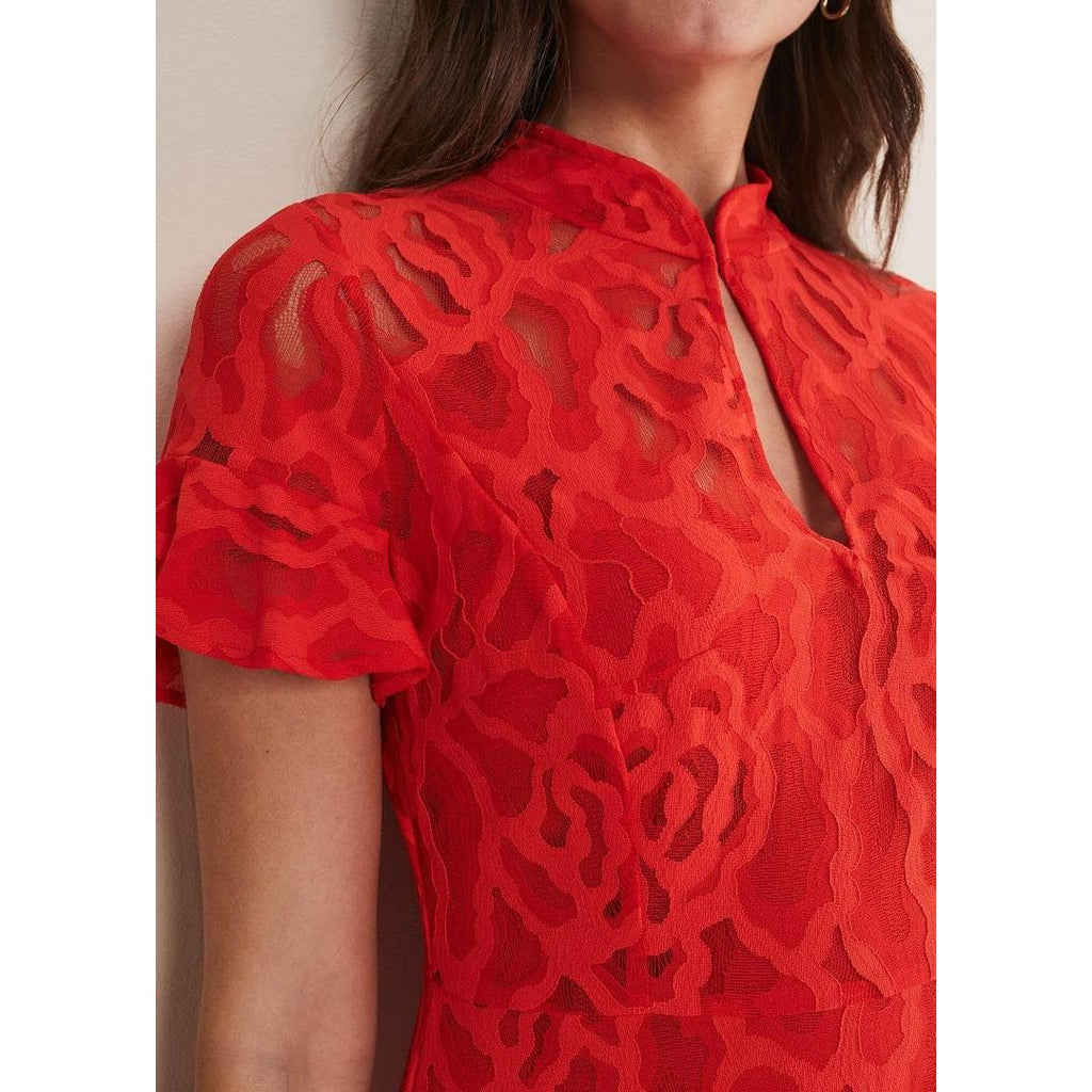 Phase Eight Lulu Lace Dress - Fire - Beales department store