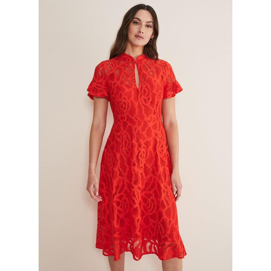 Phase Eight Lulu Lace Dress - Fire - Beales department store