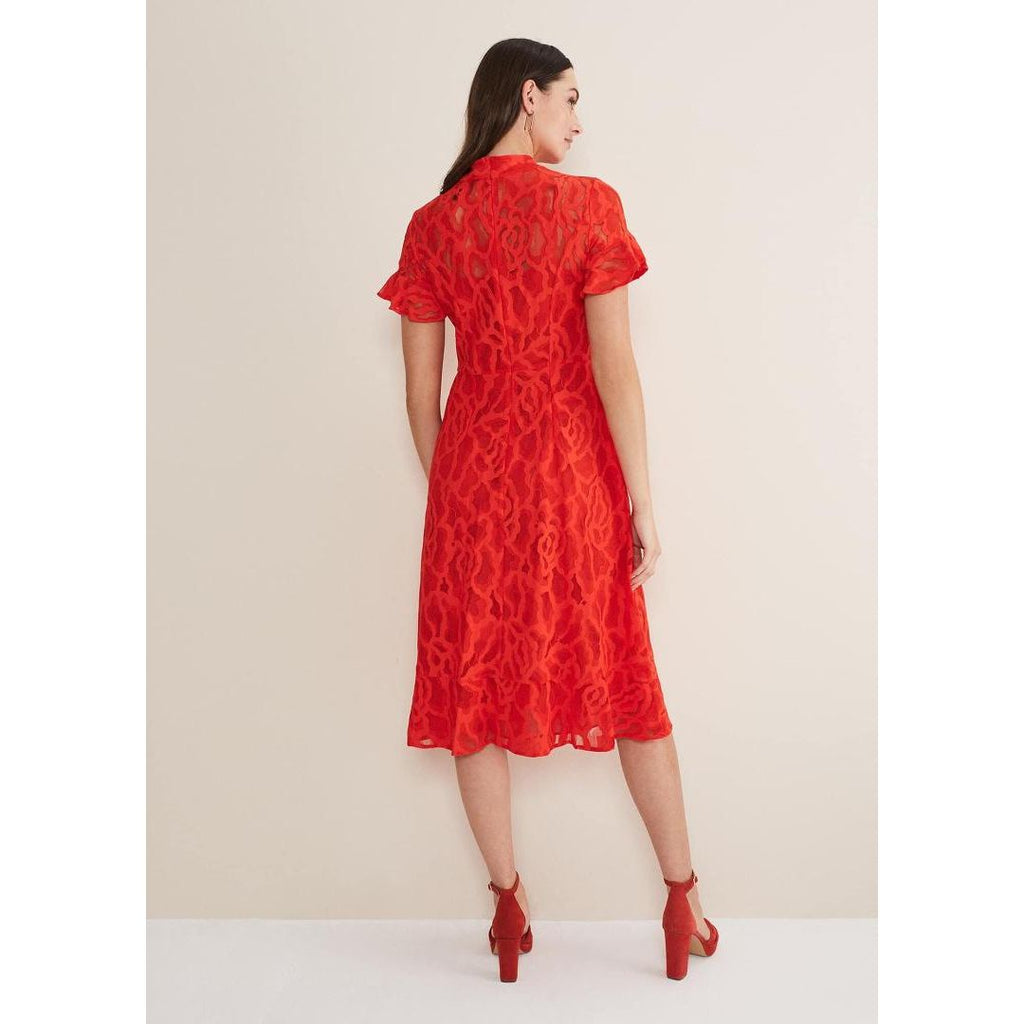 Phase Eight Lulu Lace Dress - Fire - Beales department store