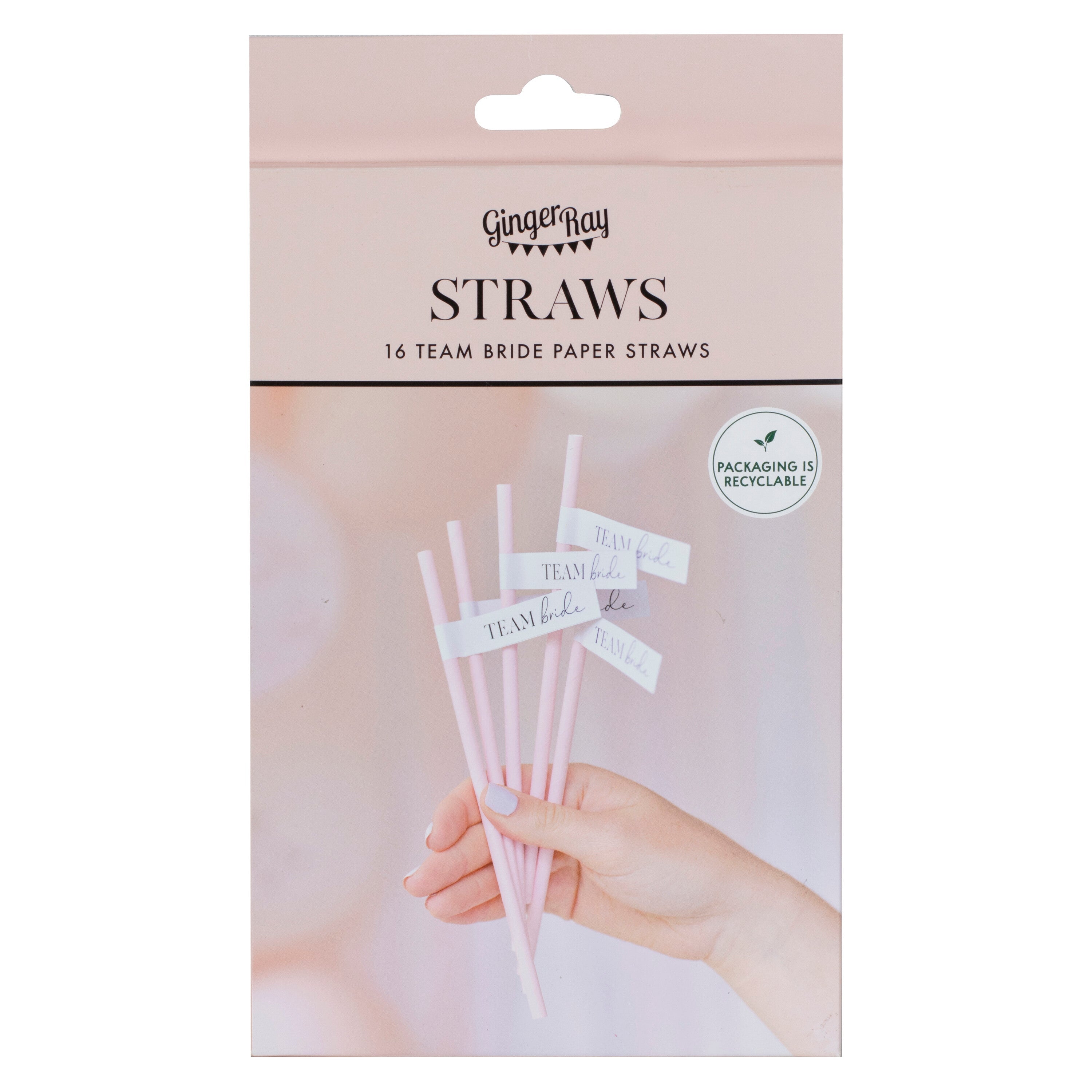 Team Bride Hen Party Paper Straws
