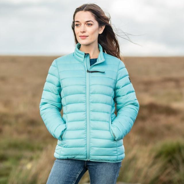 TOG24 Hudson Insulated Jacket - Nile Blue - Beales department store